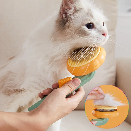 Cats Dog Grooming combs Clean Brush Cat Hair Brush xccscss.